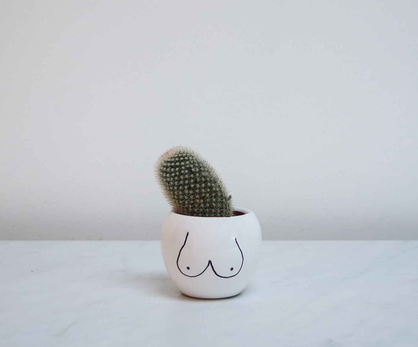 Illustrated boob planter